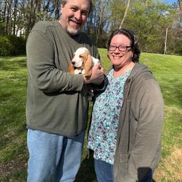 Zevra - Lemon and white female Basset Hound puppy in Bellaire, Ohio from Blessed Bassets