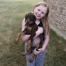 Doberman Pinscher Puppies from Ranchers Companion Doberman Kennel