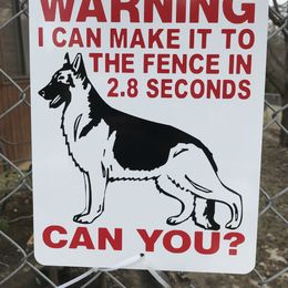 German Shepherd Puppies from Sandy’s Shepherds