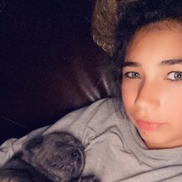 Neapolitan Mastiff Puppies from Battle Born Neos