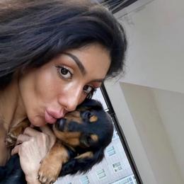 Dachshunds, Shihpoos, and Shih Tzus from London’s puppies