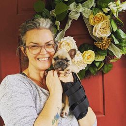 French Bulldog Puppies from Ross Family Frenchies