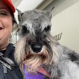 HONEY - Miniature Schnauzer