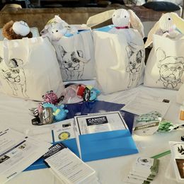 French Bulldog Puppies from Camp Fine Frenchies