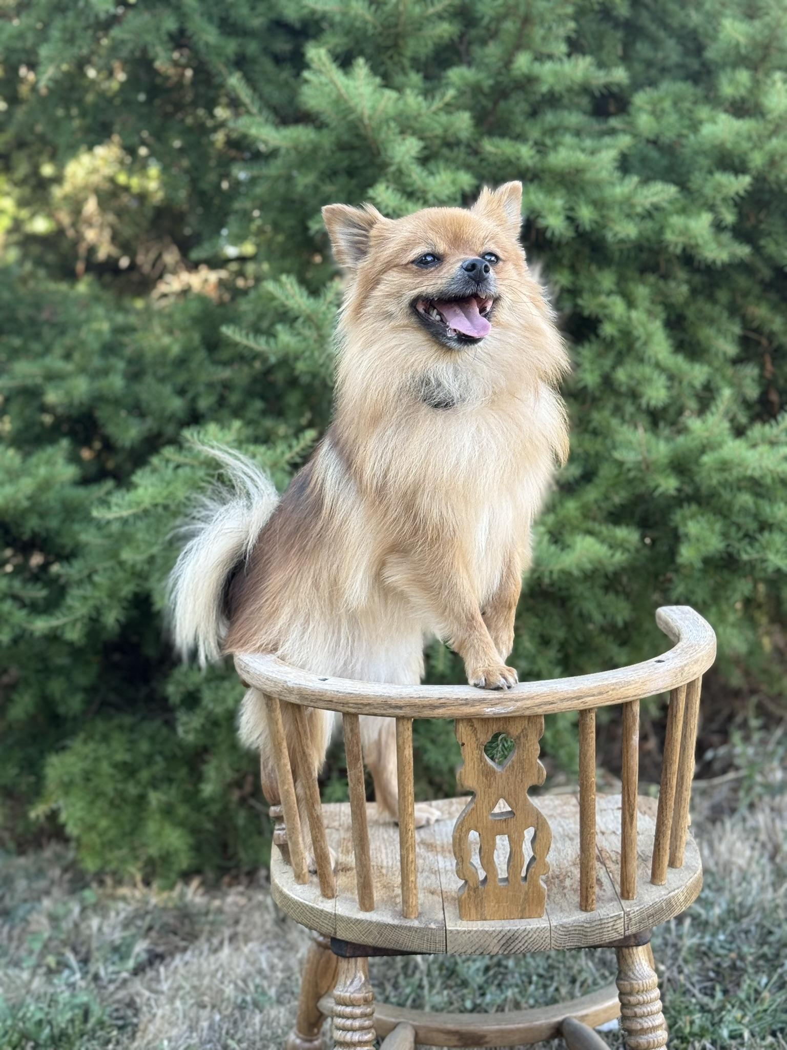 Lumie