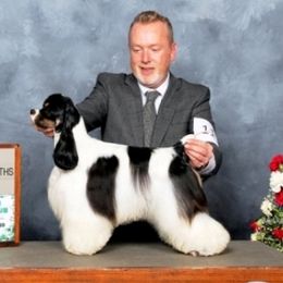 Tess - Cocker Spaniel