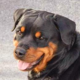 Reikah - Rottweiler