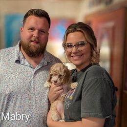 Mabry - Cream female Cockapoo puppy in Sunset, Louisiana from Cano Cockapoos