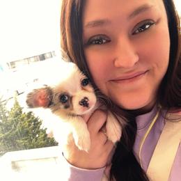 Chihuahua Puppies from Cloud9 Chihuahuas