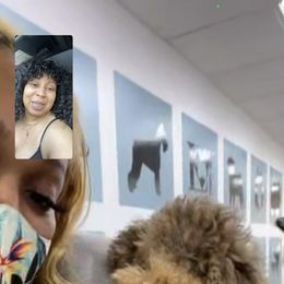 Cockapoo and Poodle Puppies from Nikol Nik