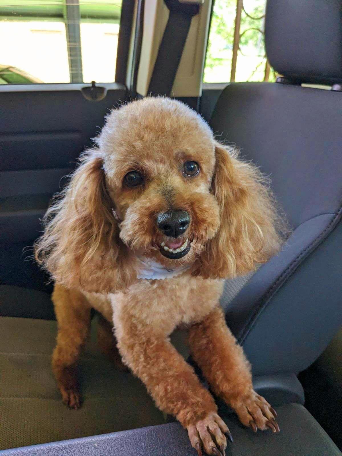 Rusty