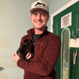 Olive Schwartzenberg - Black female Dachshund puppy in Irving, Texas from DFW Dachshunds by G & S