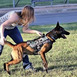 Belgian Malinois and Border Collies from House of Voodoo Kennels