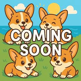 M1 - Black and tan male Pembroke Welsh Corgi puppy in Saint George, South Carolina from Carolina cotton candy corgis