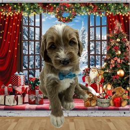 Frosty - Phantom male Goldendoodle puppy in Milwaukie, Oregon from Tiffany Marlow