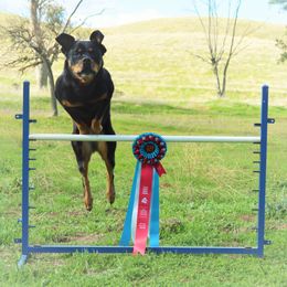 Rottweilers from Law Dogs Rotts