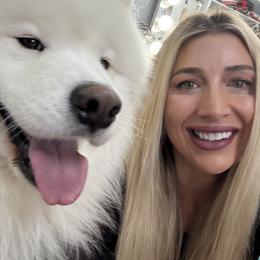 Snow - Samoyed