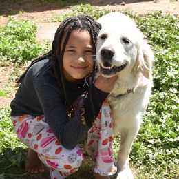 Jewel - Golden Retriever