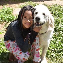 Jewel - Golden Retriever