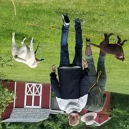 Labrador Retriever Puppies from Roxanne Lee