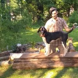 Treeing Walker Coonhounds from Con-Man Kennels