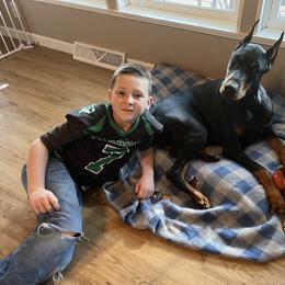 Doberman Pinscher puppies from Tx Pups