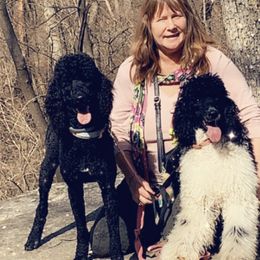 Poodles from Tender Kennels
