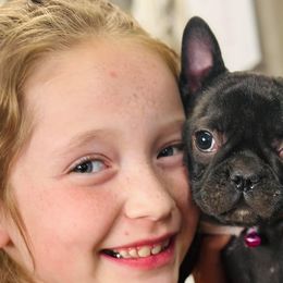 French Bulldogs from Irlbeck Farm