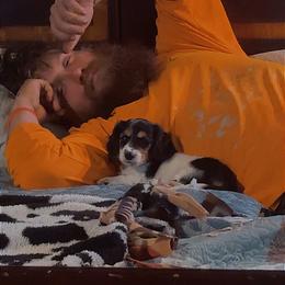 Dachshund and Miniature Australian Shepherd Puppies from Southern Charm Kennels