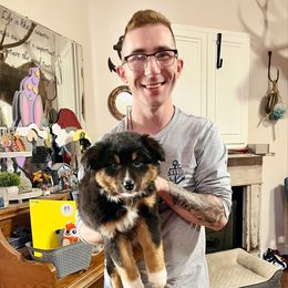 Emma - Black tri-color female Australian Shepherd puppy in Red Springs, North Carolina from Julia Rose Ranch