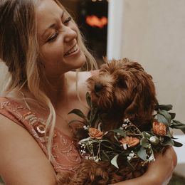 Cavapoos from Pup Fiction Breeders