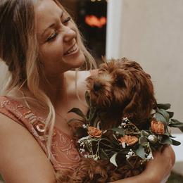 Cavapoos from Pup Fiction Breeders