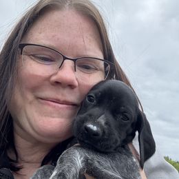 Blue Collar Male - Black roan male German Shorthaired Pointer puppy in Onalaska, Washington from Boonies Farms