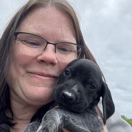 Blue Collar Male - Black roan male German Shorthaired Pointer puppy in Onalaska, Washington from Boonies Farms