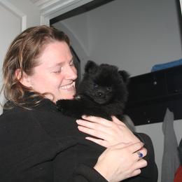 Pomeranian Puppies from Pitter Patter Pomeranian Palace