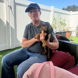 Kabuki - Black and tan female Dachshund puppy in Temecula, California from Naomi Magee's Dachshund Kennel