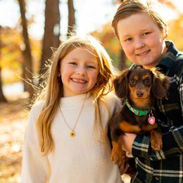 Dachshunds from Kingdom Mini Dashchunds