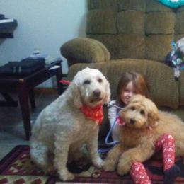 Assorted Doodle Crosses Puppies from Southern Star Goldendoodles