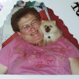 Poodle Puppies from My Buddies Puppies