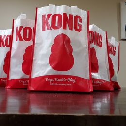 Australian Shepherd Puppies from Winsome Aussies