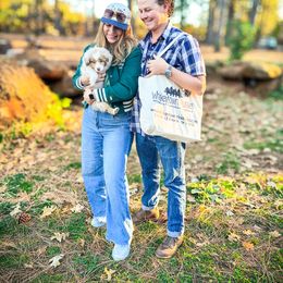 Miniature American Shepherd and Miniature Australian Shepherd Puppies from Whiskeytown Aussies