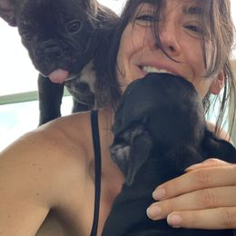 French Bulldog Puppies from Luna and London’s Puppies