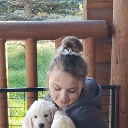 Golden Retriever Puppies from HuesofGold Halos