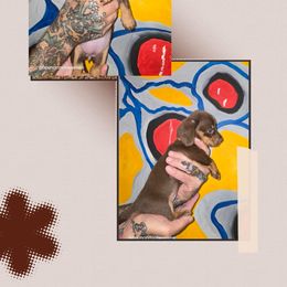 Imani - Chocolate and tan female Dachshund puppy in New Caney, Texas from BouncinMiniWeenies