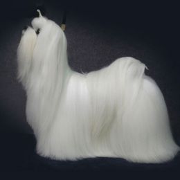 Maltese from Validian Maltese