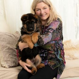 Jovian (dark blue collar) - Black and red male German Shepherd puppy in Ballston Spa, New York from Von Fahringer Shepherds