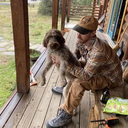 Wirehaired Pointing Griffons from DOGS COUNTRY GRIFFS