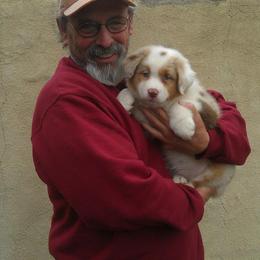 Australian Shepherd Puppies from Triple MMM Kennel