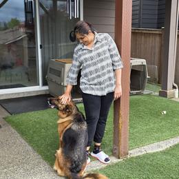 German Shepherd All Grown Up from Beau Ideal German Shepherds