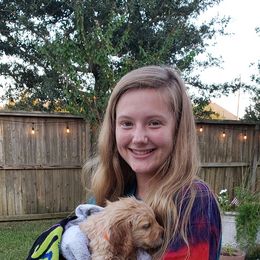 Golden Retriever Puppies from Sims Golden Retrievers